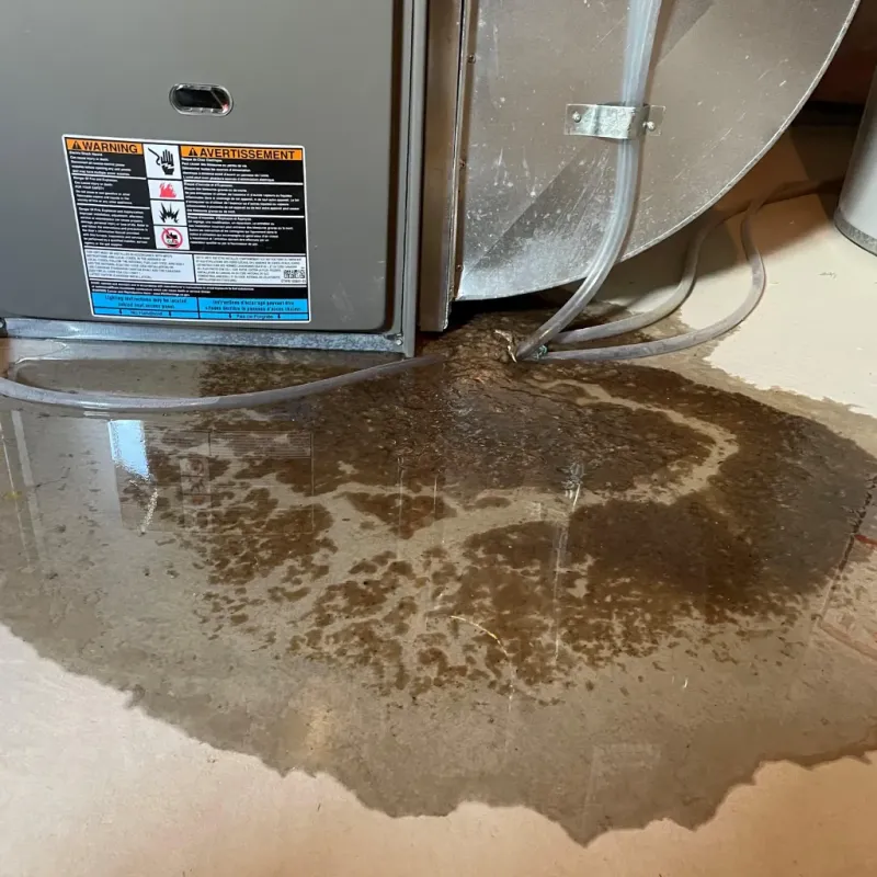 Appliance Leak Cleanup in Evansburg, PA